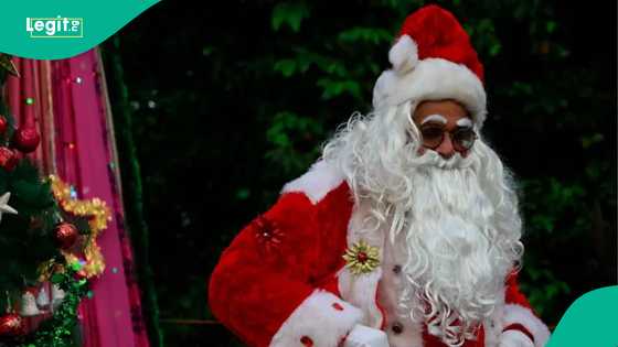 Why do people wear red hats during Christmas celebration?