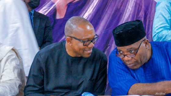 2023 Elections: Peter Obi sends letter to Doyin Okupe after resignation