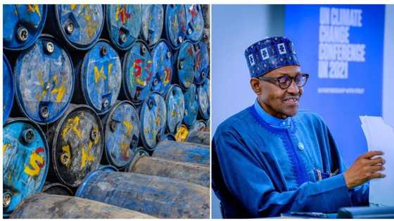 Oil prices dip below $100 as Naira plunges at the official market