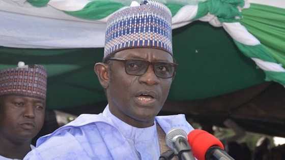 Leave our party, go and face governance in Yobe - APC state chairman to Buni