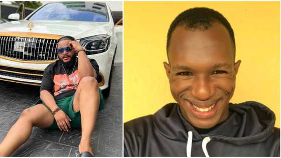 Daniel Regha taunts Whitemoney over his N650m restaurant demands: "To sell ancestral jollof rice or what?