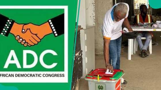 ADC ta gwada farin jini, ta doke jam'iyyar APC a zaɓen Abuja