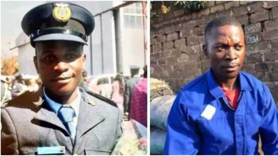 Frustrated university graduate who became charcoal seller after searching for jobs employed by the military