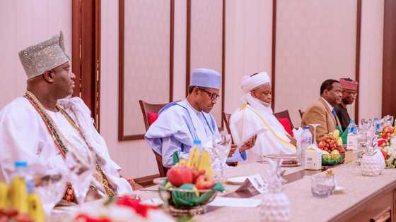 Minista ya goyi bayan dakatar da Basaraken da ya ziyarci Buhari a Aso Villa