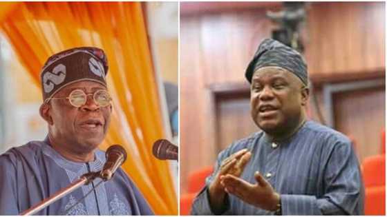 2023: Zan goyi bayan Tinubu idan ya fito takarar shugaban kasa - Buhari