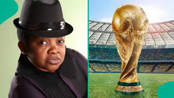 2026 World Cup: Chinedu Ikedieze ignites reactions as he shares viewing fee in US