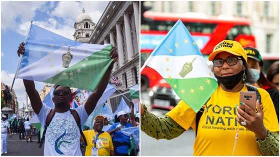 Breaking: Yoruba Nation chairman Adeniran resigns, gives reason