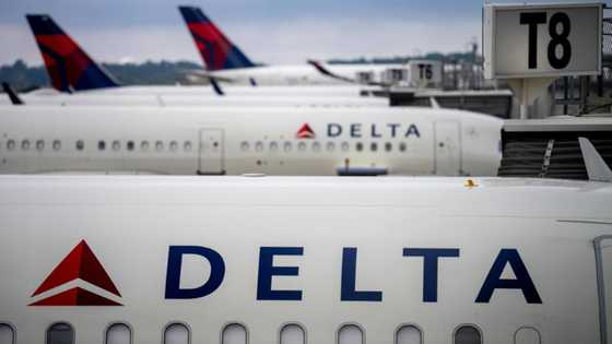 Delta profits drop despite solid demand, hitting airline shares