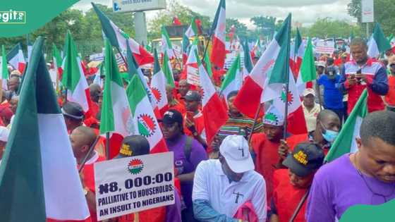 NLC chairman jailed over palliatives diversion, details emerge