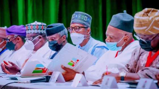 2023 presidency: Concerns over credibility of polls as APC puts nomination form at N100m