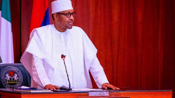 Destruction of school system won't be tolerated - Buhari talks tough, issues stern warning to bandits