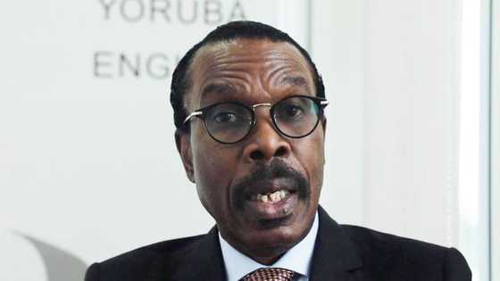 Having a public office holder with intellectual depth like Osinbajo is refreshing, says Rewane