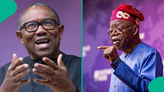 How US-Israel war against Iran may decide 2027 elections in Nigeria as fuel prices continue to rise