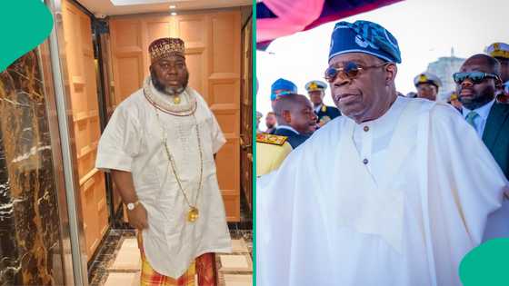 Did Asari Dokubo ask Tinubu to surrender over economic hardship in Nigeria? Fact emerges