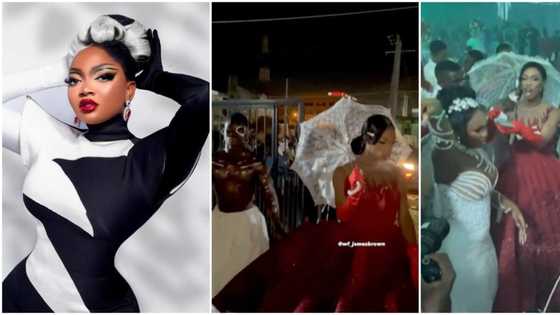 James Brown storms Papaya’s lavish birthday party with herbalists, skit makers, music stars, others show up