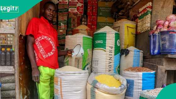 Cost of rice, other items crash as Nigeria’s inflation drops, data shows cheapest states to buy food