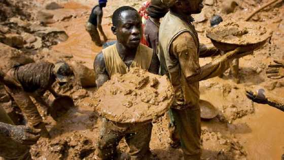 Bincike ya fallasa yadda masu hakar gwal ta bayan-fage su ke hura wutan rashin tsaro