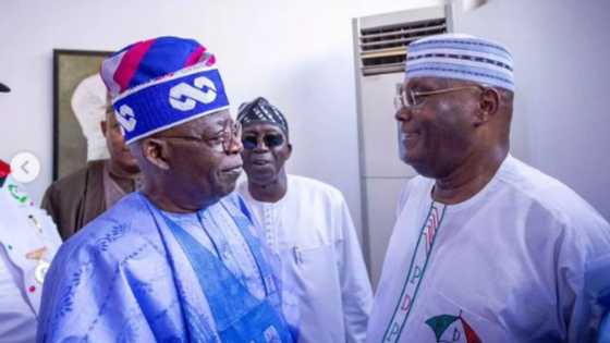 “Reuben just blew me away”: Reactions as AriseTV presenter screws PDP chieftain on Tinubu's metaphor