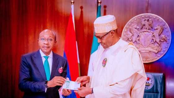 Naira swap: Another northern APC gov makes serious claim about CBN's Emefiele, Buhari, 2023 elections