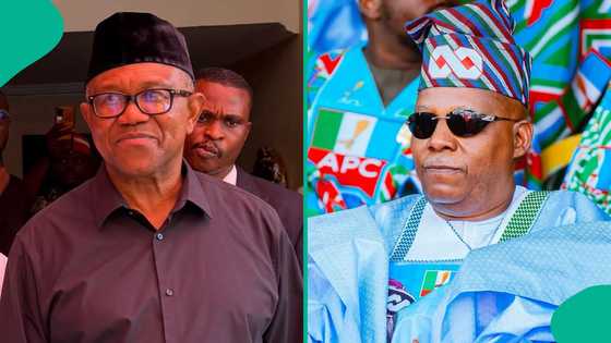 Zaben 2027: Kashim Shettima ya dura kan Peter Obi, ya yi masa wankin babban bargo