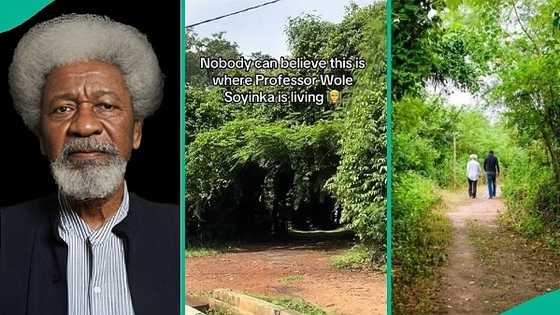 "Looks scary": Man displays Professor Wole Soyinka's house in forest, video leaves people wondering