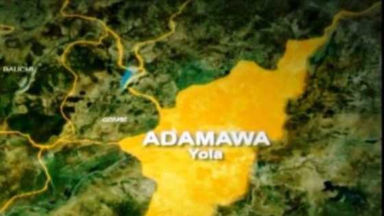 Yanzu-yanzu: 'Yan bindiga sun kai hari wani gari a jihar Adamawa