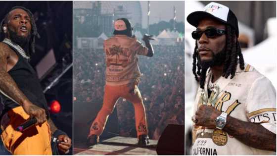 "Don't humble your dreams": Burna Boy advises fans as he shares lovely moments from his Love Damini tour