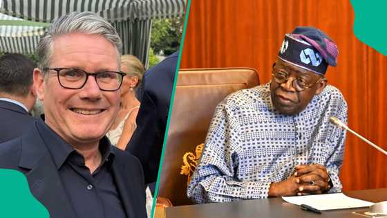 UK set to gain hundreds of jobs from Nigerian expansion in 3 key industries, full list emerges