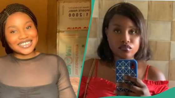 BDC seller toasts Nigerian lady who comes to change dollar, Whatsapp chat leaks