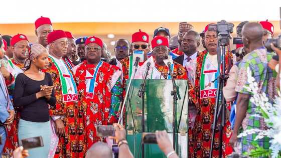 2023 presidency: Umahi reveals why Ndigbo should dump Peter Obi, vote for Tinubu