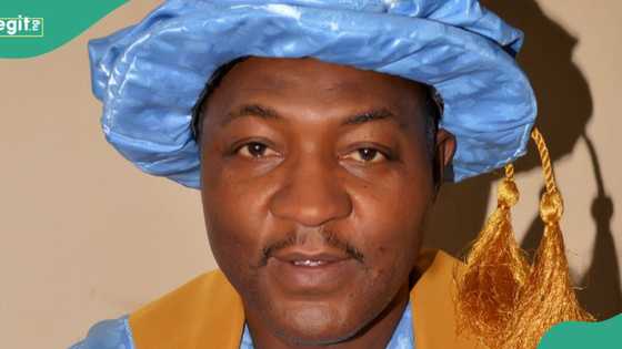 No fake professors in Bayero University, says Vice-Chancellor