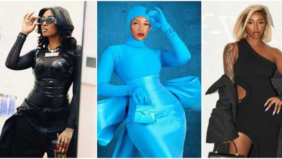 Tiwa Savage: BBNaija Tacha makes serious plans to visit Diva's house and raid her wardrobe, netizens connive