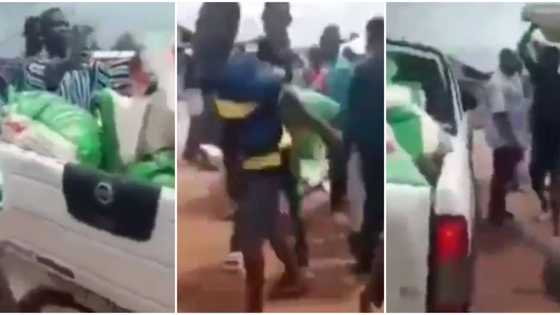 Matasa sun yi fatali da buhunan shinkafa da Dan Majalisa ya ba su, sun nuna cewa aiki suke so