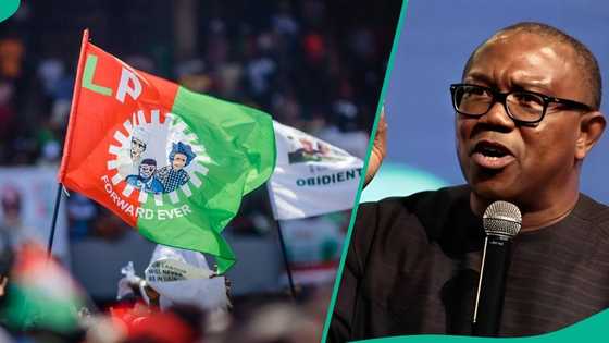 'Ba Tinubu ba ne': An fallasa 'yan siyasa 2 da ke haddasa rikici a jam'iyyar LP