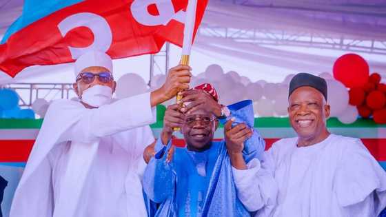 APC primaries: Is consensus really good in Lagos but bad at federal level?