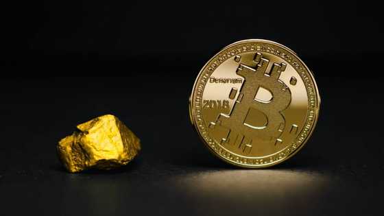 What has been happening in the cryptocurrency market