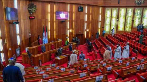 Trouble for APC as 2 prominent northern senators defect to PDP