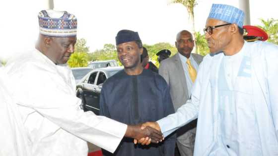 Anti-Tinubu cabal: Fresh allegation as Babachir speaks on Buhari's headache in presidency