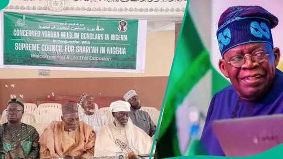 'An ware mu': Malaman Musulunci sun bukaci Tinubu ya yi duba kan nadin mukamai