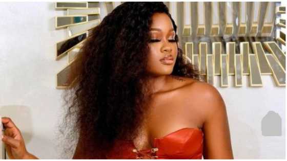 Blooming with grace: BBNaija star Cee-C marks new month with gorgeous new look