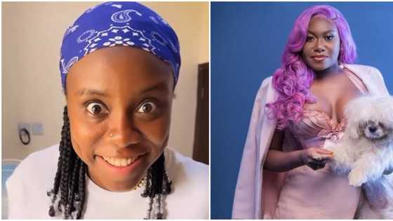 "She is crazy and very talented": Cute video as Teni lists what she admires about her elder sister Niniola