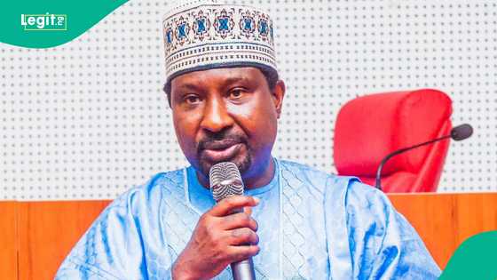 Bye-Elections: APC group speaks on Barau's role as party records landslide victory in Kano