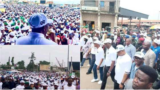 2023 presidency: Photos, video emerge as Gov Oyetola leads march for Tinubu in Osogbo