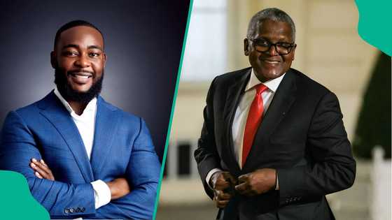 Meet Jamil Abubakar, Dangote's son-in-law playing a key role in the family's business