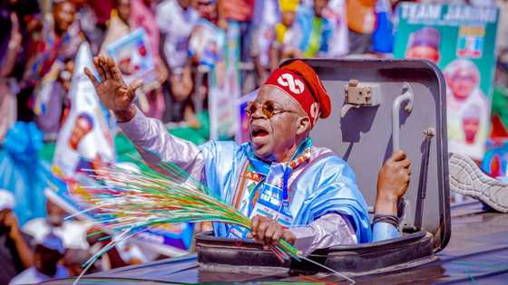 "Believe in the capacity of those who voted for me": Tinubu tells supporters of opposition parties, candidates