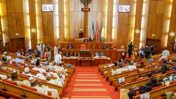 South-South Senators reject moves to include Lagos, Ogun, Bauchi in NDDC