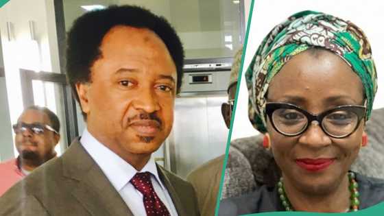 'Ki fita a rayuwa ta': Shehu Sani ya soki matar El-Rufai da ta gyara masa Turanci