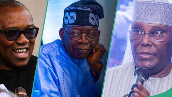 2027 election: How 6 geo-political zones will likely vote amid defections, Atiku’s coalition, analyst predicts