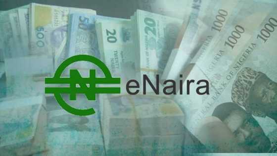 Lagos missing as North leads in eNaira adoption in Nigeria