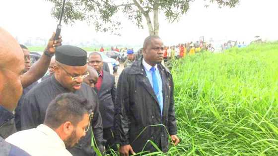 Akwa Ibom state govt to commence tomato paste production